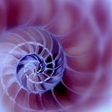 Entrevista a Concha López Mirete en Whohub.